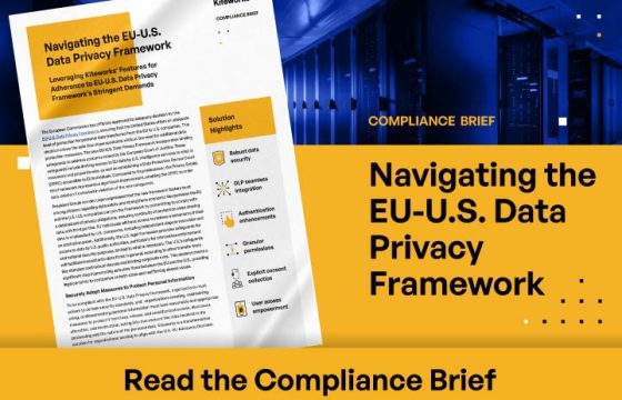 Navigating the EU-US Data Privacy Framework