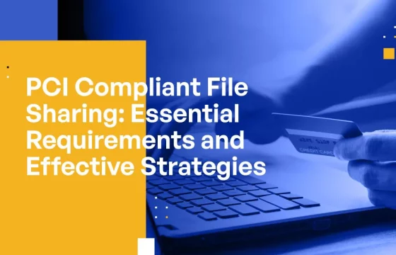 PCI Compliant File Sharing Essential Requirements & Effective Compliance Strategies