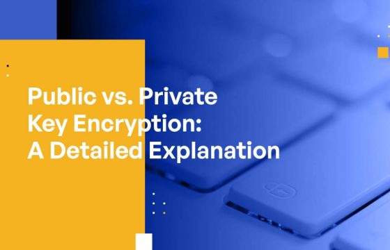 Public vs. Private Key Encryption: A Detailed Explanation