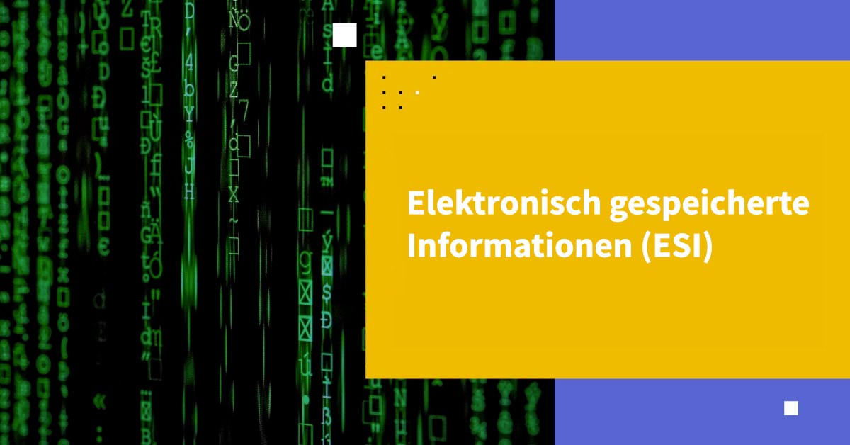 Elektronisch gespeicherte Information (ESI)