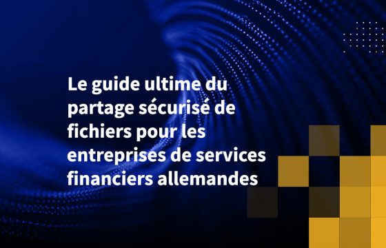 Le guide ultime du partage sécurisé de fichiers pour les entreprises de services financiers allemandes