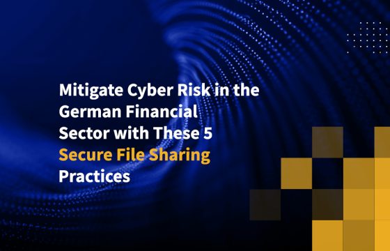 Mitigate Cyber Risk in the German Financial Sector with These 5 Secure File Sharing Practices
