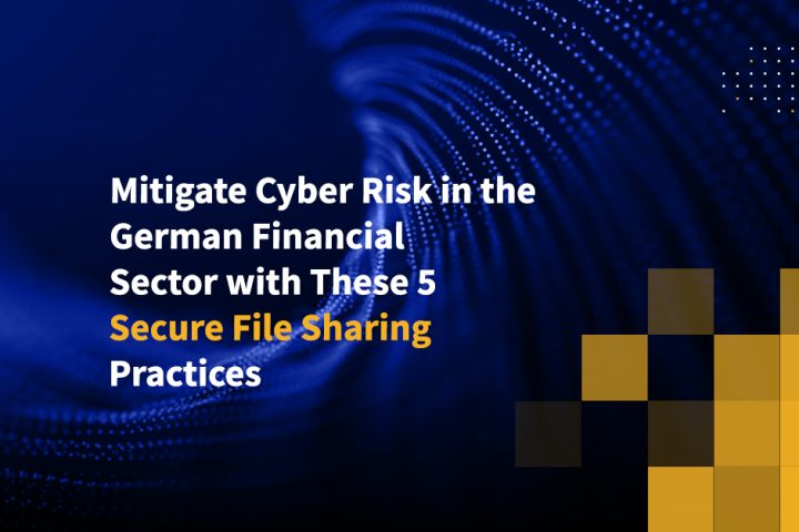 Mitigate Cyber Risk in the German Financial Sector with These 5 Secure File Sharing Practices