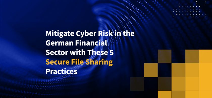 Mitigate Cyber Risk in the German Financial Sector with These 5 Secure File Sharing Practices
