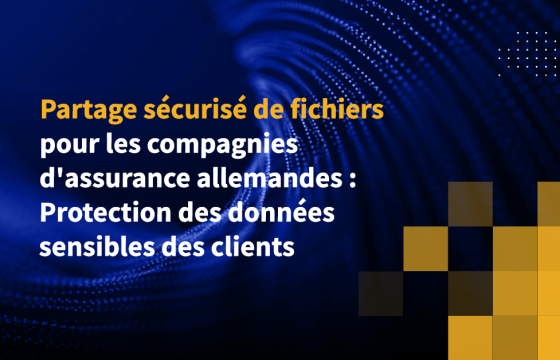 Partage sécurisé de fichiers pour les compagnies d'assurance allemandes : Protection des données sensibles des clients