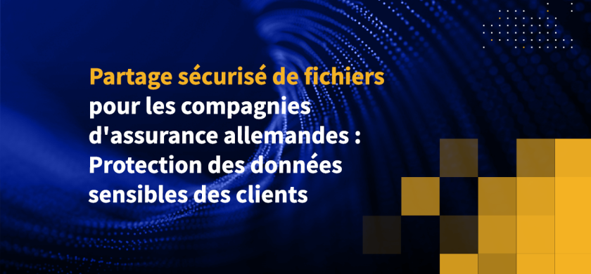 Partage sécurisé de fichiers pour les compagnies d'assurance allemandes : Protection des données sensibles des clients