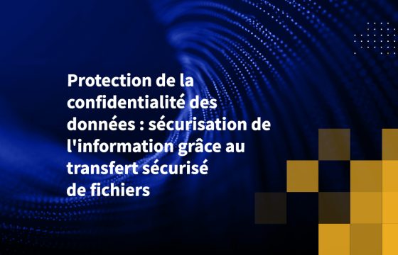Protection de la confidentialité des données : sécurisation de l'information grâce au transfert sécurisé de fichiers