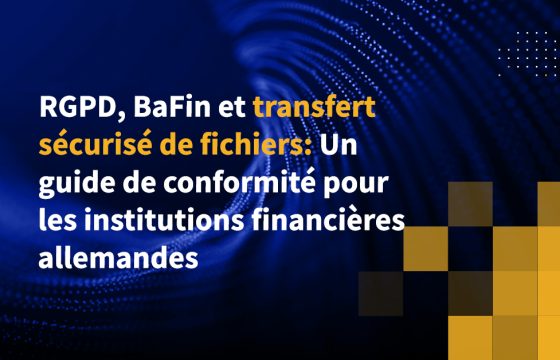 RGPD, BaFin et transfert sécurisé de fichiers: Un guide de conformité pour les institutions financières allemandes