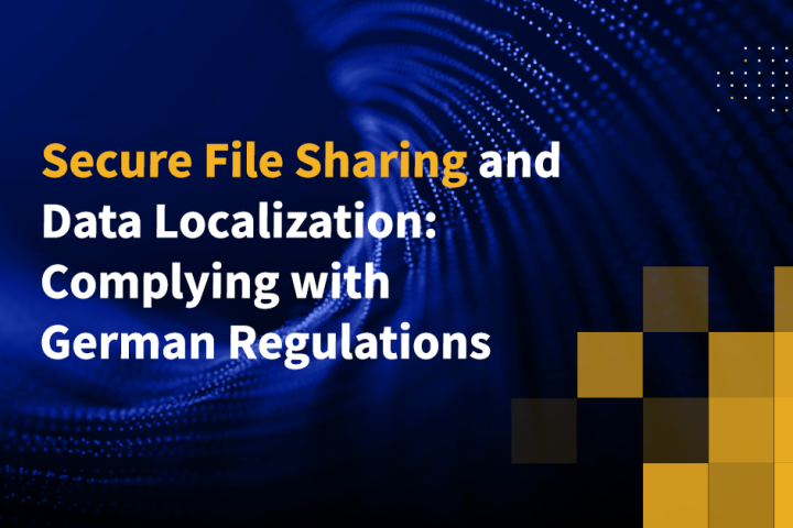 Secure File Sharing and Data Localization: Complying with German Regulations