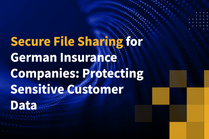 Secure File Sharing for German Insurance Companies: Protecting Sensitive Customer Data