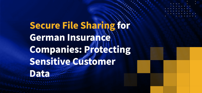 Secure File Sharing for German Insurance Companies: Protecting Sensitive Customer Data