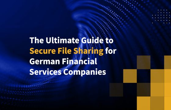 The Ultimate Guide to Secure File Sharing for German Financial Services Companies