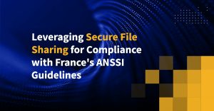 Leveraging Secure File Sharing for Compliance with France's ANSSI Guidelines