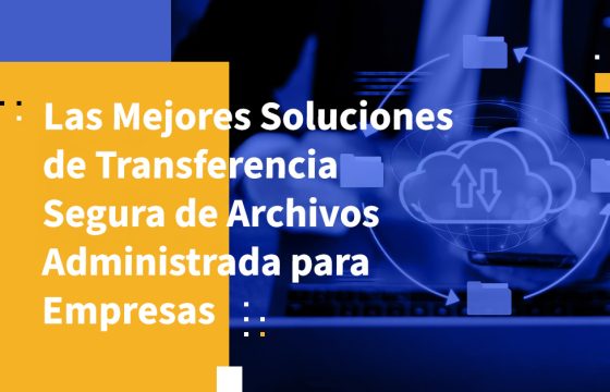 Las Mejores Soluciones de Transferencia Segura de Archivos Administrada para Empresas