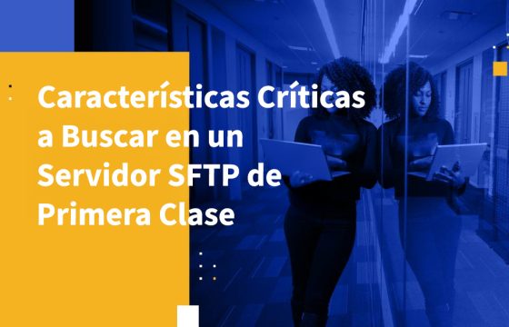 Características Críticas a Buscar en un Servidor SFTP de Primera Clase