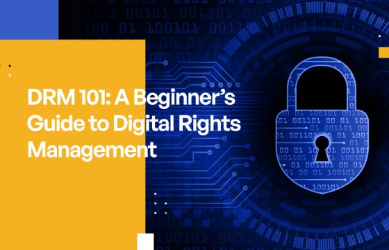 DRM 101: A Beginner's Guide to Protecting Your Business With Digital Rights Management