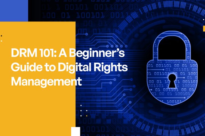 DRM 101: A Beginner's Guide to Protecting Your Business With Digital Rights Management