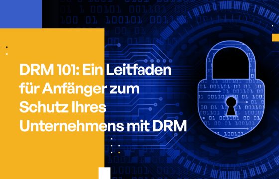 DRM 101: Ein Leitfaden für Anfänger zum Schutz Ihres Unternehmens mit DRM