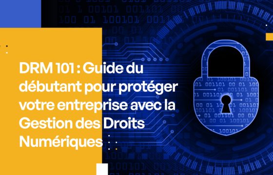 DRM 101 : Guide du débutant pour protéger votre entreprise avec la Gestion des Droits Numériques