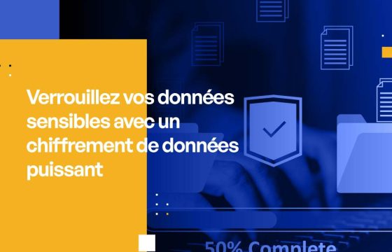 Verrouillez vos données sensibles grâce à un puissant cryptage des données