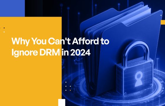 Why You Can't Afford to Ignore DRM in 2024