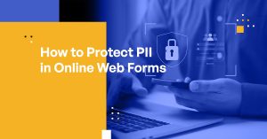 How to Protect PII in Online Web Forms