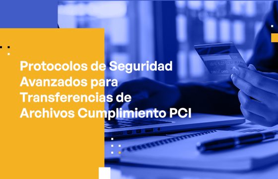 Blog Banner - Advanced Security Protocols for PCI Compliant File Transfers
