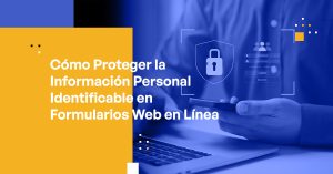 Blog Banner - How to Protect PII in Online Web Forms