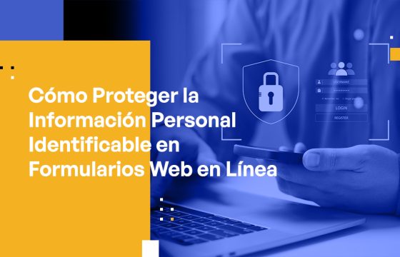 Blog Banner - How to Protect PII in Online Web Forms