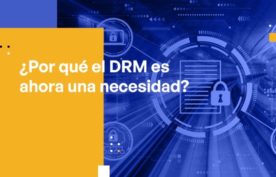 Blog Banner - Why DRM Is Now a Necessity