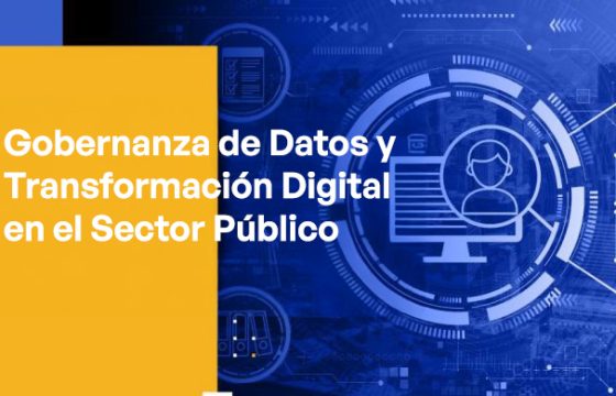 Data Governance and Digital Transformation in the Public Sector