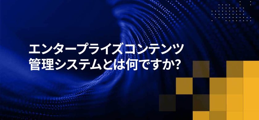 ECMの高度運用とセグメント配信