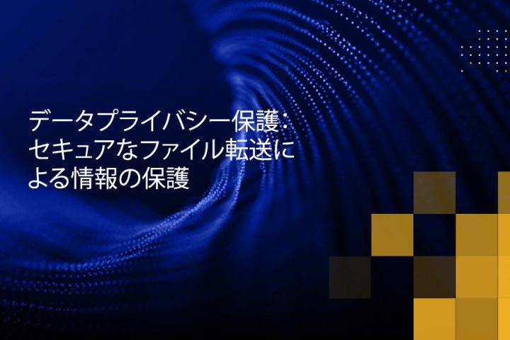 Blog Banner - Data Privacy Protection Safeguarding Information through Secure File Transfer