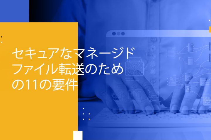 Blog Banner - Eleven Requirements for Secure Managed File Transfer