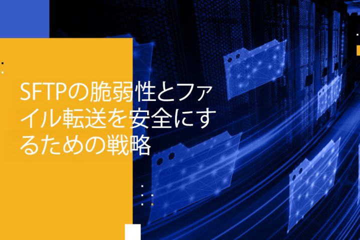 Blog Banner - SFTP Vulnerabilities and Strategies to Secure Your File Transfers