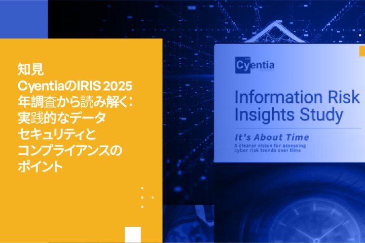 Cyentia IRIS 2025 プレリリースインサイト: 企業リーダーのための実用的なデータセキュリティとコンプライアンスのポイント