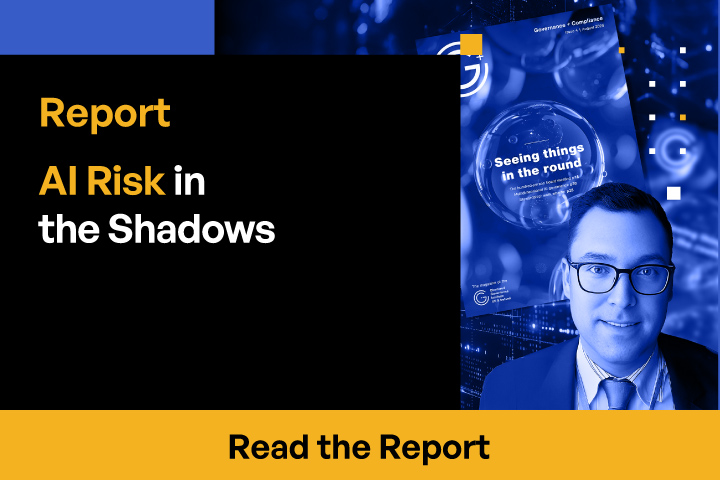 AI Risk in the Shadows