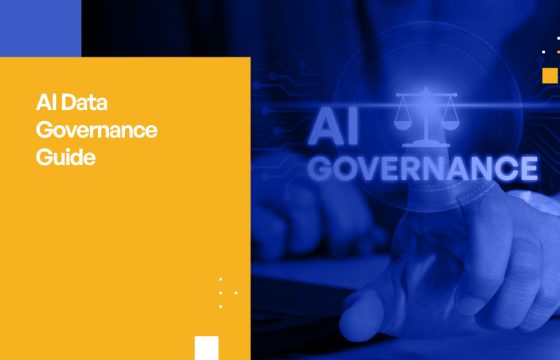 AI Data Governance Guide