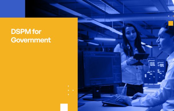 DSPM for Government