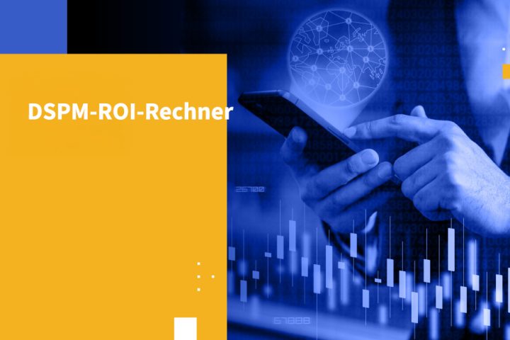 DSPM-ROI-Rechner