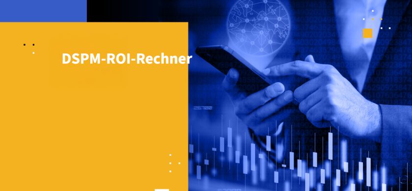 DSPM-ROI-Rechner