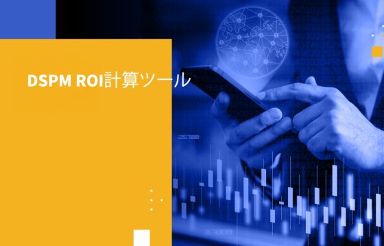 DSPM ROI計算ツール