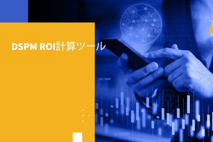DSPM ROI計算ツール