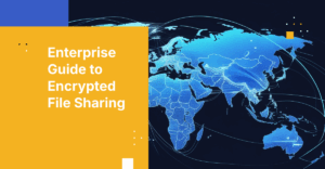 The Definitive Enterprise Guide to Encrypted File Sharing