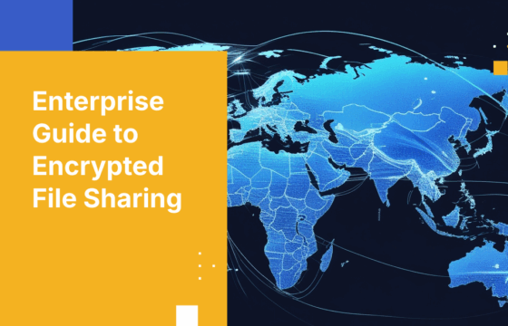 The Definitive Enterprise Guide to Encrypted File Sharing