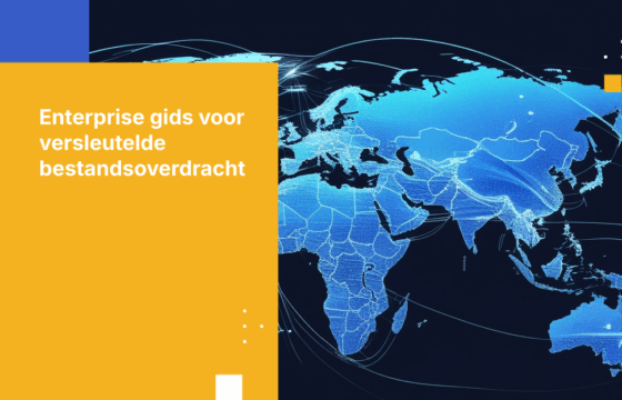 De definitieve zakelijke gids voor versleutelde bestandsoverdracht