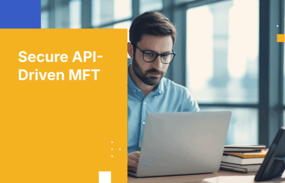 API-Driven MFT: A Developer's Guide to Secure Integration and Automation
