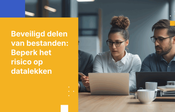 Hoe bestanden veilig intern en extern delen
