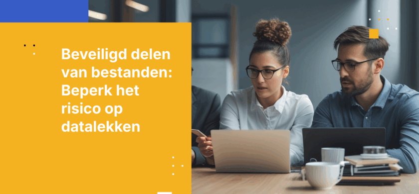 Hoe bestanden veilig intern en extern delen