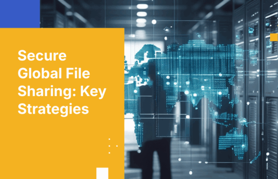 How to Prevent Data Breaches with Secure File Sharing Across Borders